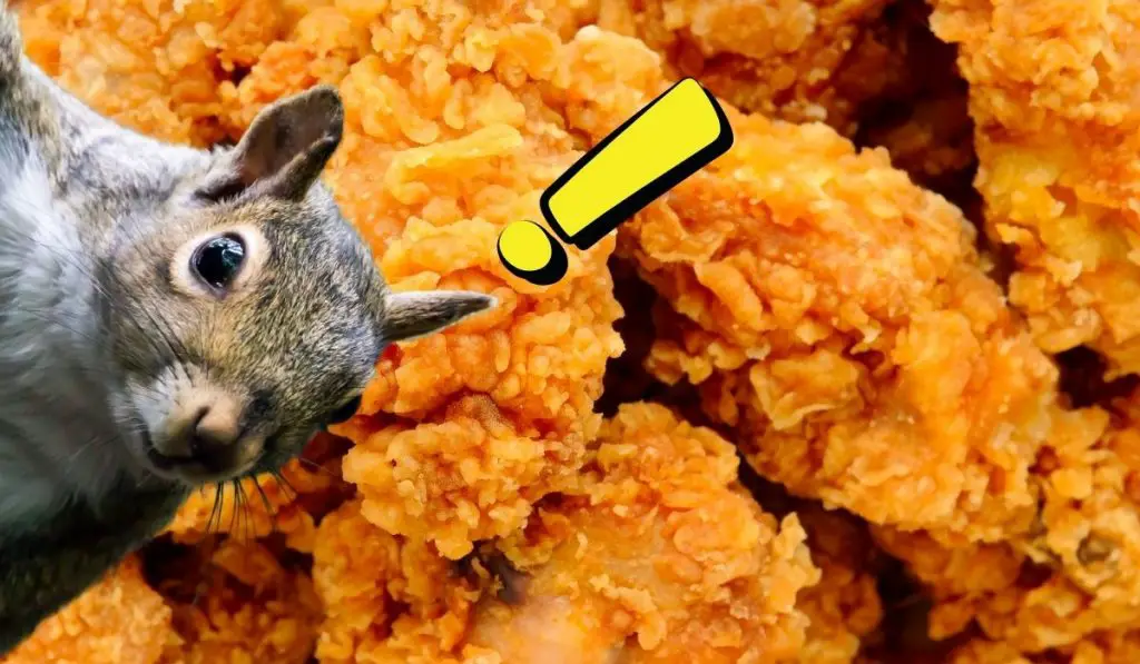 Squirrels and Fried Chicken