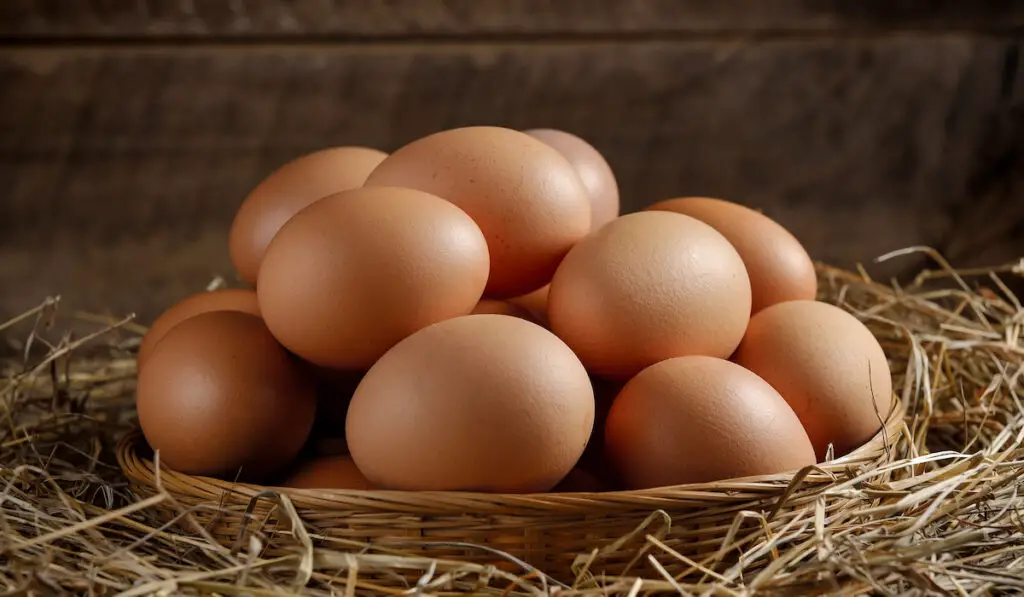 eggs in a basket on top of a dried grass