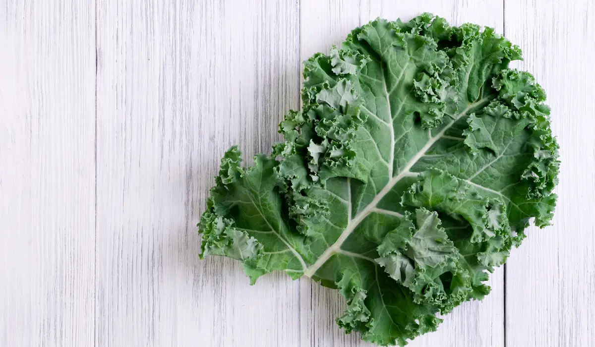 Do Deer Eat Kale? Exploration Squared