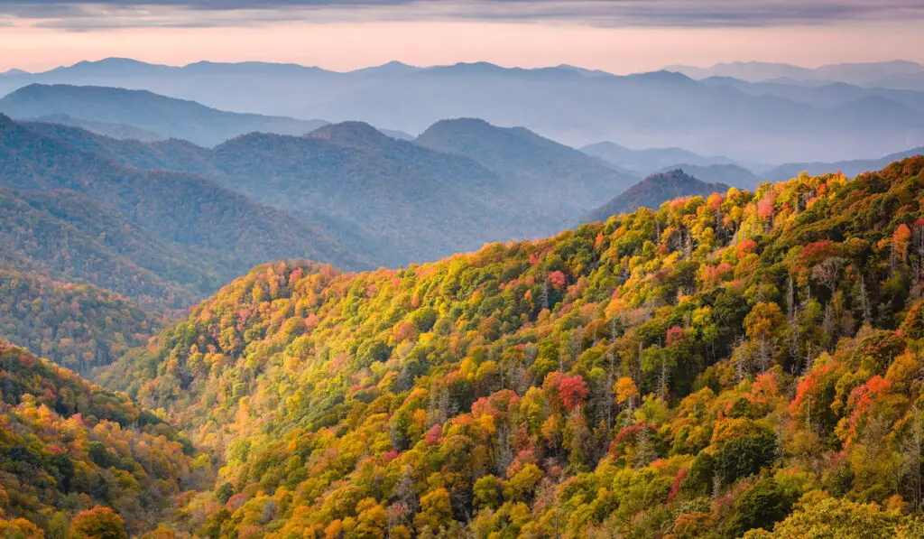 Great Smoky Mountains National Park, Tennessee, USA overlooking the Newfound Pass in autumn 