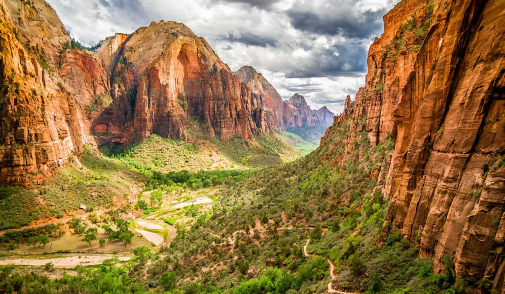colorful landscape from zion national park utah 