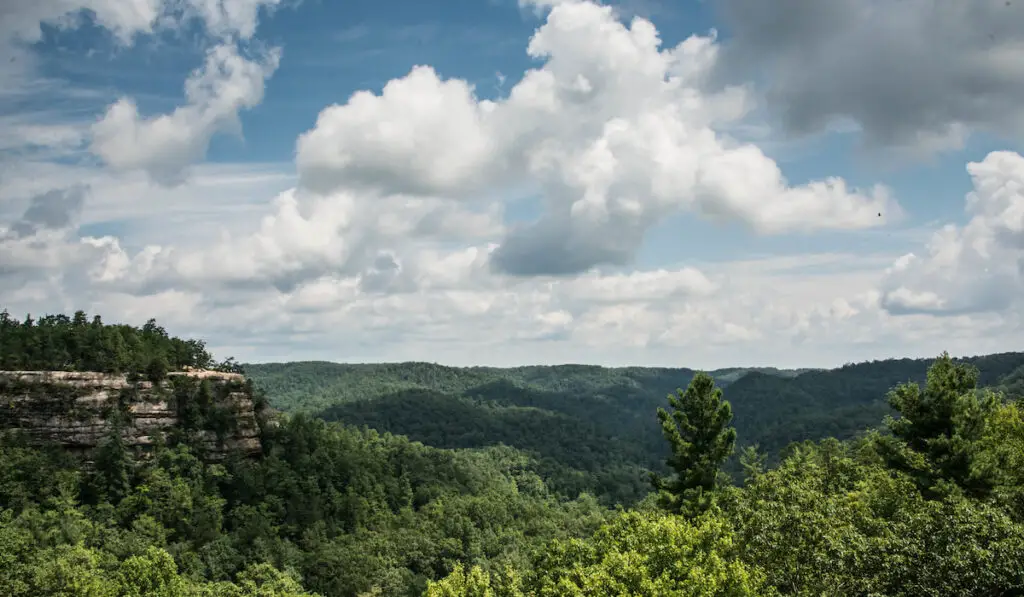 Aerial view of Daniel Boone National Forest