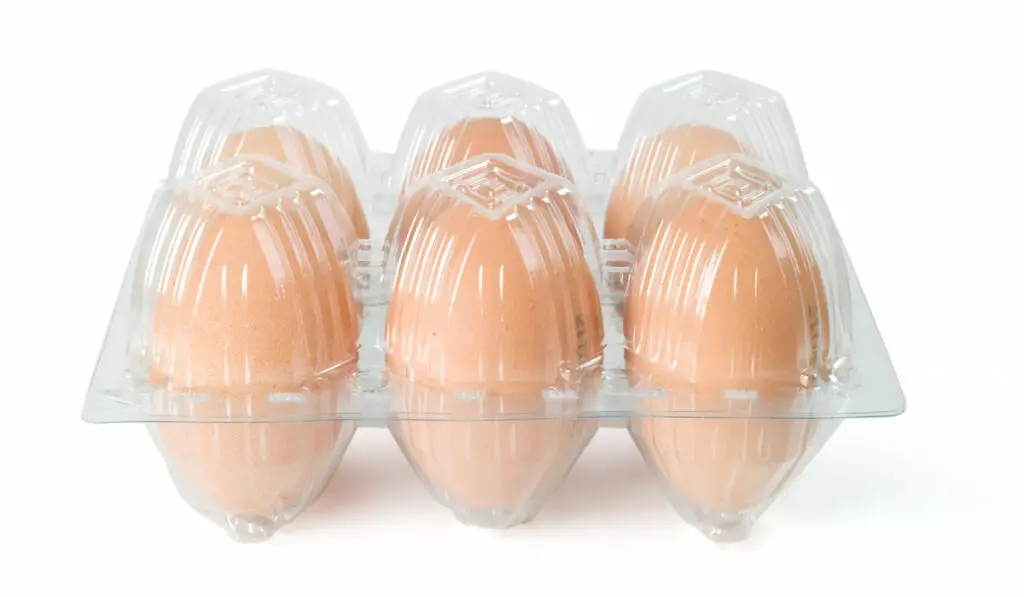 Eggs in a plastic holder on white background