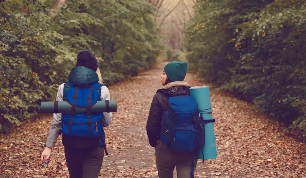 Girlfriend traveler with backpacks went hiking in the woods.
