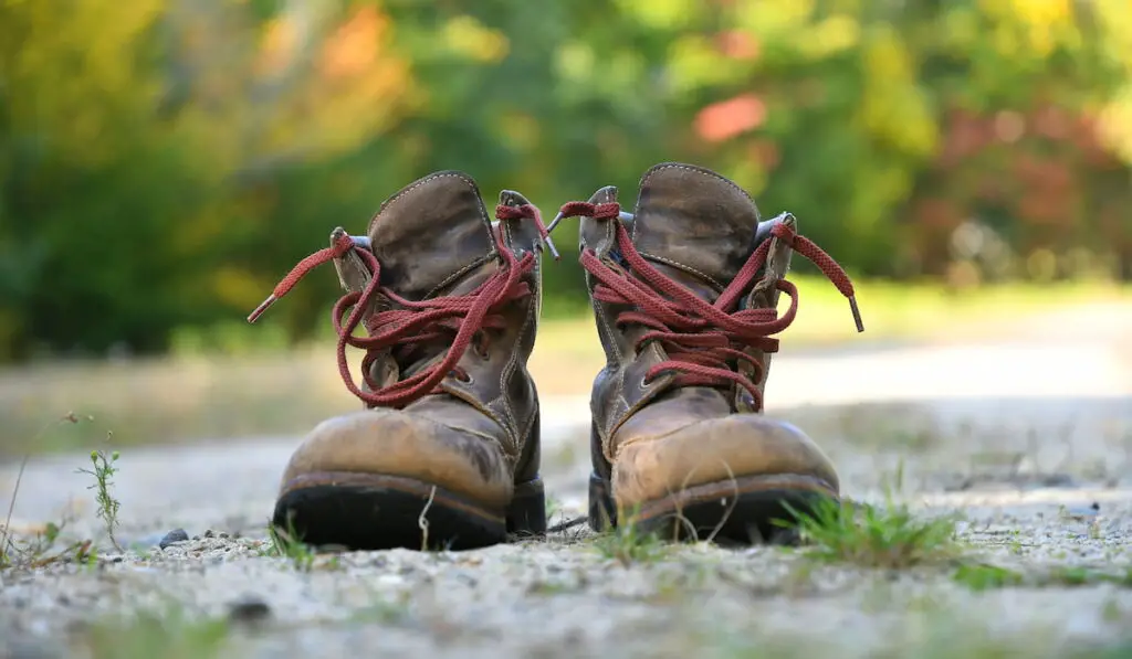 Hiking boots on the ground