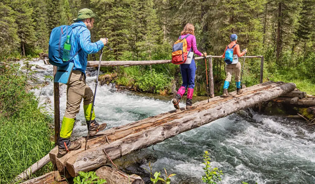 Hiking friends cross a mountain river over wooden bridge in a nature national park 