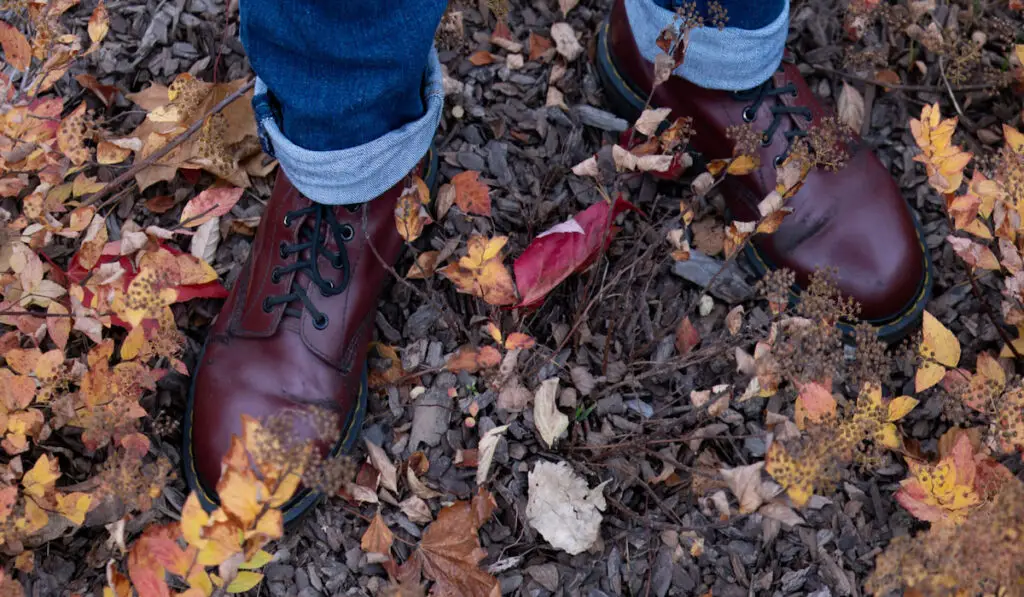 Red classic Doc Martens boots with autumn leaves on the ground 