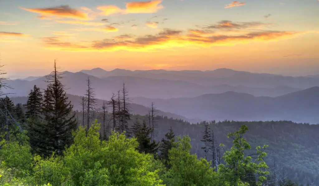 Sunrise in Great Smoky Mountains National Park 