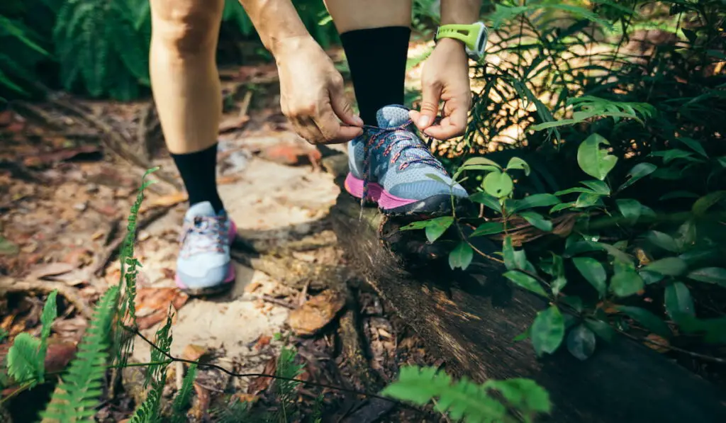 Trail runner tying shoelace on forest trail