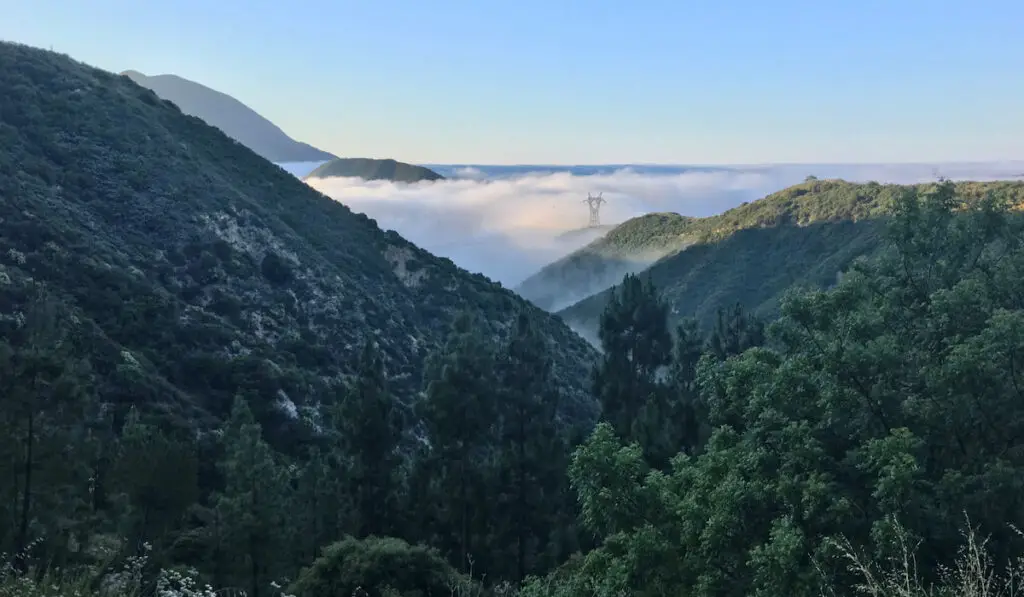 View across Angeles National Forest in southern California, high up with low clouds or fog 