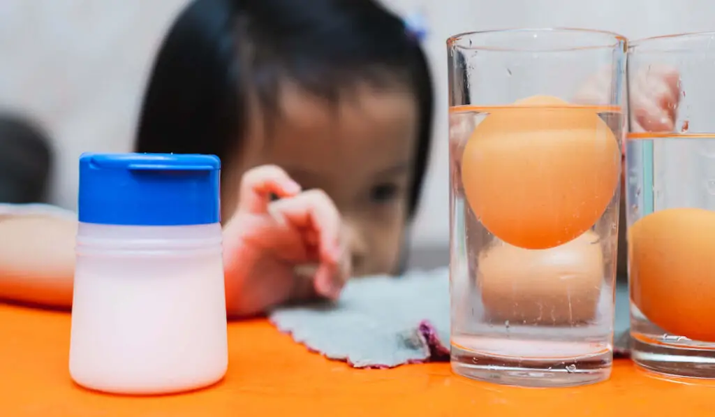little girl looking on sunken and floating eggs in a glass, testing eggs concept