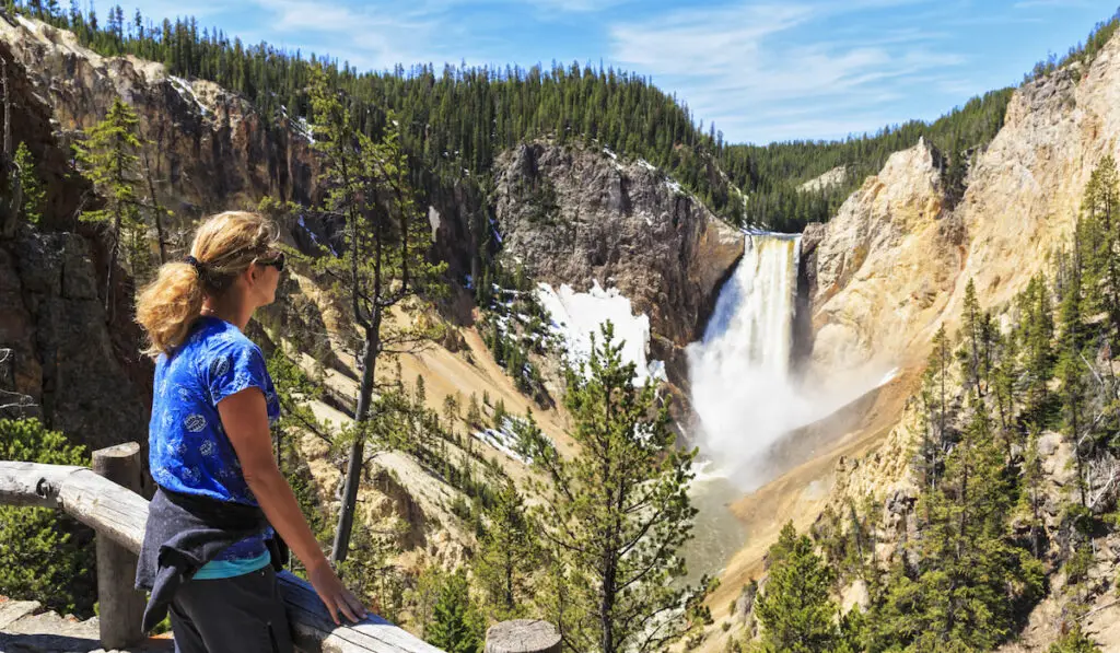 woman looking at Lower Yellowstone Falls at Yellowstone national park Wyoming