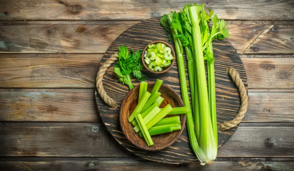 Fresh celery on round wooden tray on wooden background